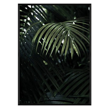 熱帶叢林  70 x 50cm  黑色