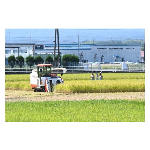 ふるさと納税 鳥取県 倉吉市 倉吉農高の米　縁結び（白米） （300ｇ×3袋）