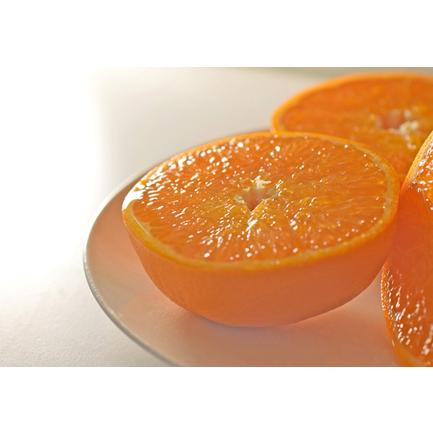 ふるさと納税 柑橘の大トロ　「せとか 5kg前後」（ハウス栽培） 高知県大月町