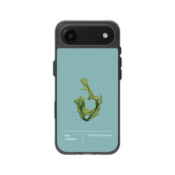 iPhone Air Clear (相機按鈕) 酷墨灰 - The Seaweed Studio - 德文郡・美扇藻研習