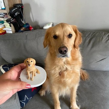 定制化狗狗 寵物 公仔 毛小孩 肖像畫 似顏繪 定制 紀念 禮物