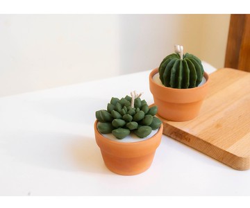 【辦公小物】小多肉蠟燭-植物大豆蠟燭/JUNO Candle