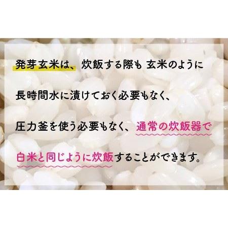 ふるさと納税 無農薬コシヒカリ特選 真空パック5kg〜玄米以上の栄養価と白米に近い柔らかさ〜【2023.. 福井県坂井市