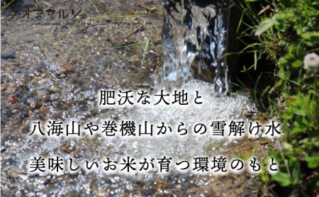 新米 令和５年産 おかずのいらない 魚沼産コシヒカリ　白米１０ｋｇ