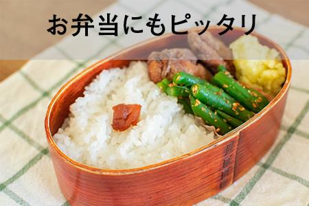 1004　《令和5年度産 新米》12ヵ月！毎月届く定期便ななつぼし「たんとうまい」５kg