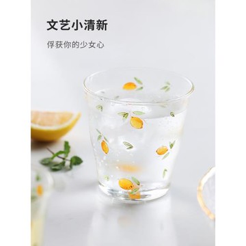 藍蓮花禮盒高硼硅耐高溫情侶玻璃杯ins風水杯檸檬家用設計感杯子