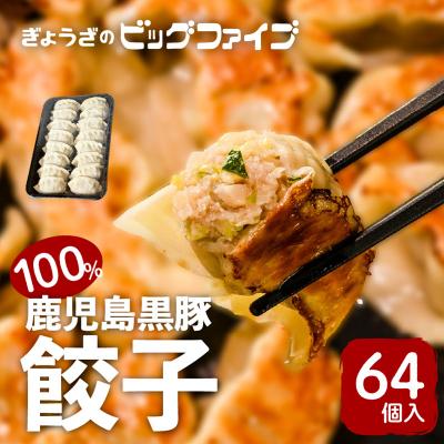 ふるさと納税 鹿児島市 鹿児島黒豚100%餃子　64個入り