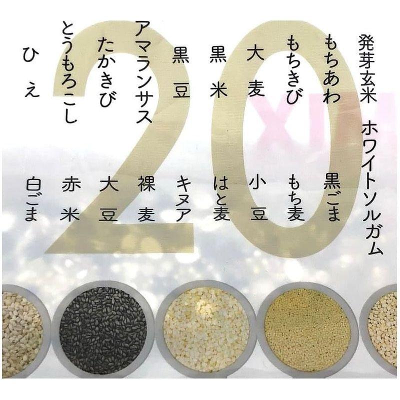 カネスコーポレーション 二十穀 もち麦入り 1140g (30g×38袋) Rice Millet Assort