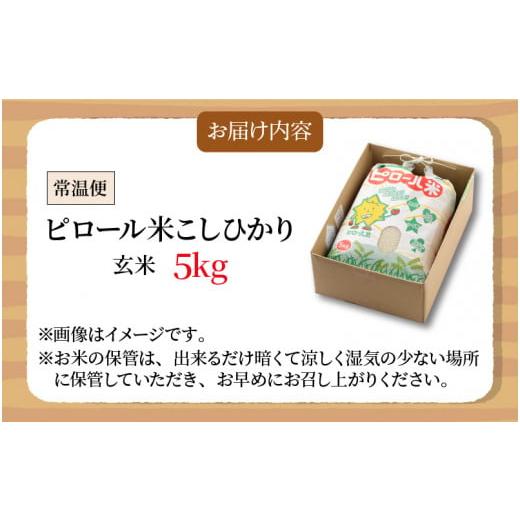 ふるさと納税 福井県 大野市 こだわりの米！弱アルカリ性のピロール米 こしひかり 玄米 5kg [A-009002]