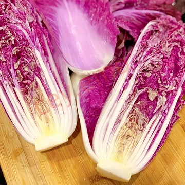 🥬（紫玉大白菜種子）新種子 高產四季紫色大白菜蔬菜種子 沙拉白菜種子 田園盆栽蔬菜種籽 新手好種植
