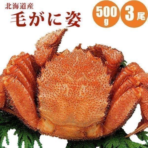 カニ 蟹 毛蟹 毛ガニ 500g 3尾 北海道 御中元 お中元 夏ギフト 暑中