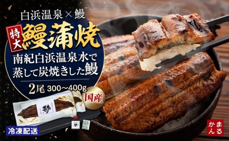 特大うなぎ蒲焼き2本セット（タレ・山椒付き）（合計：300～400ｇ)