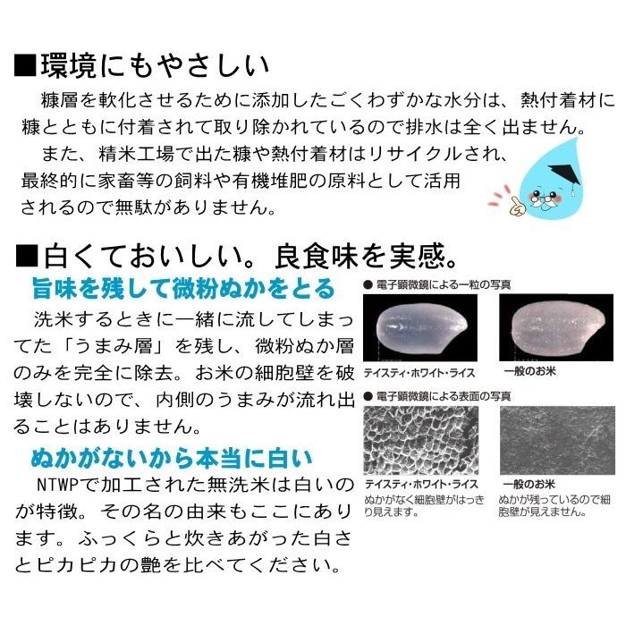 米 無洗米 10kg 10kg×1袋 送料無料 美膳 お米 国内産 白米