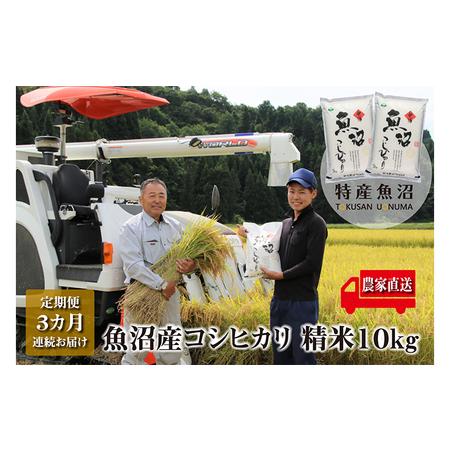 ふるさと納税 農家直送！ 魚沼産 コシヒカリ 精米 10kg （ 5kg × 2袋 ） 3ヶ月 連続お届け （ 米 定期便 こしひかり お米 こめ コメ 魚沼産.. 新潟県魚沼市