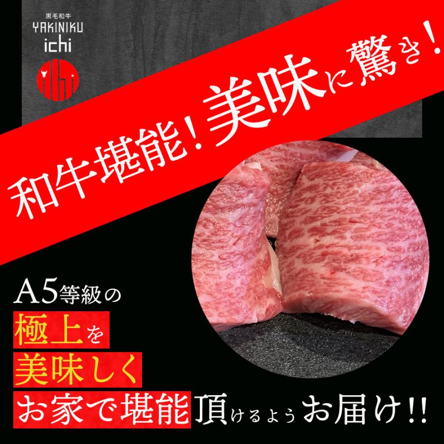 黒毛和牛 A5等級 店長おまかせ焼肉セット 500gセット 盛り合わせ 500グラム 送料無料(北海道沖縄除く)