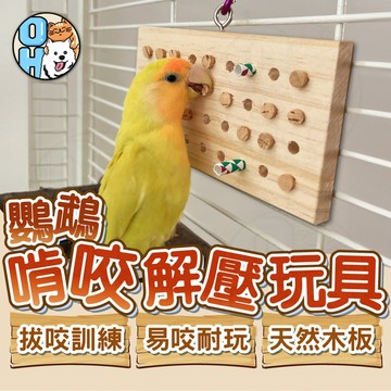 【歐豆K】鸚鵡解壓玩具 原木磨牙玩具 益智玩具 拔軟木塞玩具 鸚鵡訓練遊戲 訓練玩具 拉扯玩具 懸掛玩具 鳥玩具