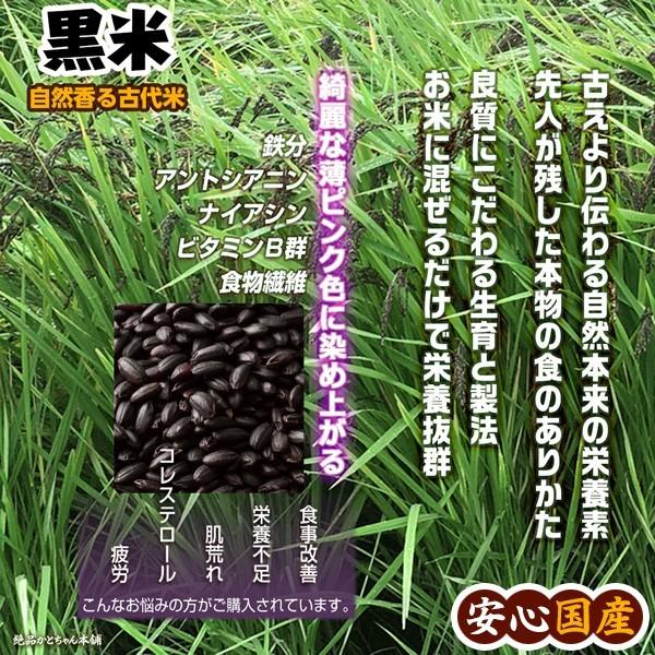 雑穀 雑穀米 国産 黒米 9kg(450g×20袋) （翌日発送） 送料無料 厳選 もち黒米 ダイエット食品 置き換えダイエット 雑穀米本舗