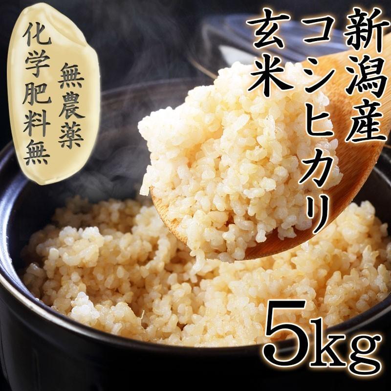 新米 令和5年産 無農薬玄米 玄米 5kg コシヒカリ 新潟 送料無料 無農薬栽培 化学肥料不使用米 美味しい玄米 健康 おいしい ミネラル ビタミン あす楽