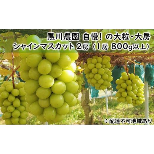 ふるさと納税 岡山県 里庄町 ぶどう 2024年 先行予約 黒川農園 自慢 の 大粒 大房 シャイン マスカット 2房 （1房 800g以上） ブドウ 葡萄  岡山県産 国産 …