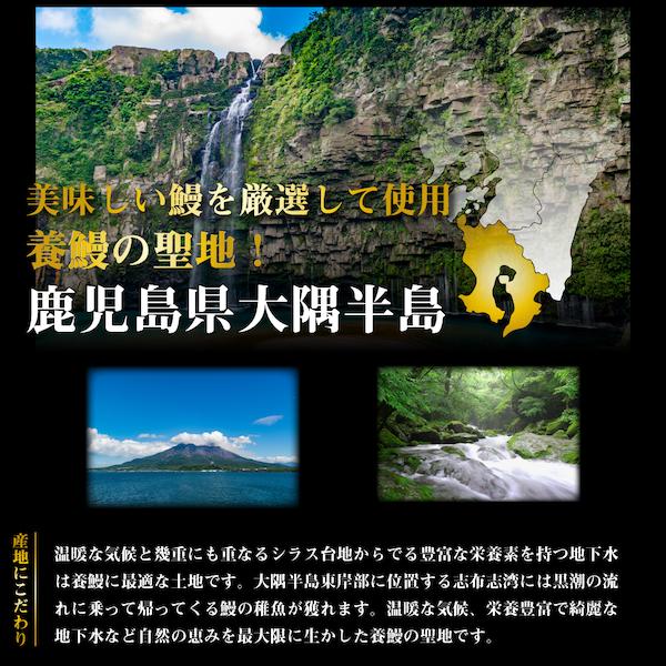 鹿児島産鰻蒲焼 有頭 2尾セット 1尾あたり220g前後 国産うなぎ