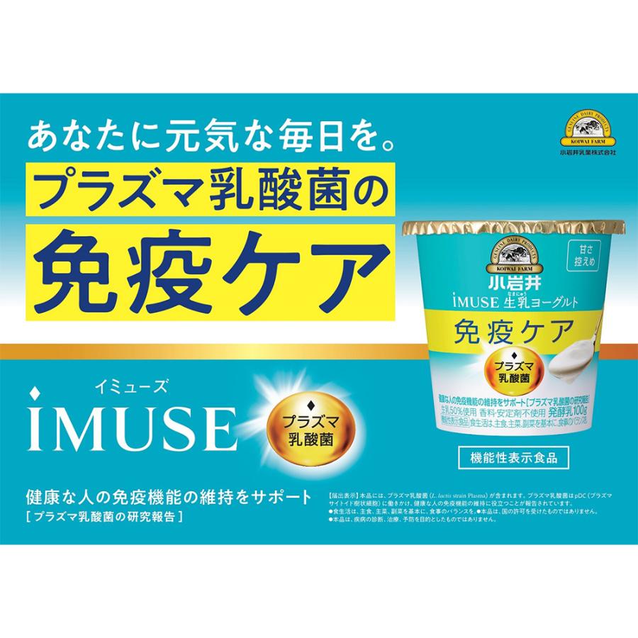 小岩井乳業 iMUSE 生乳(なまにゅう) ヨーグルト甘さ控えめ 100g