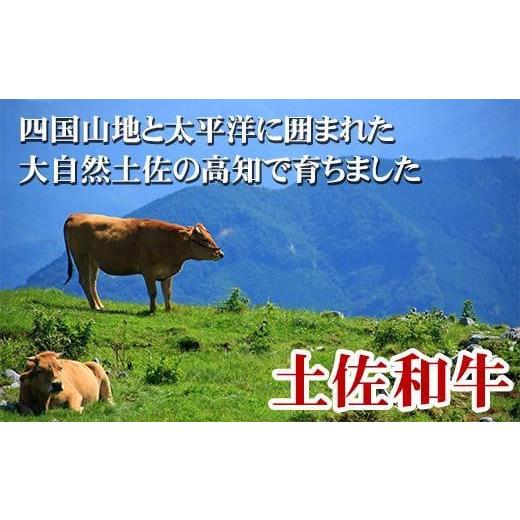 ふるさと納税 高知県 高知市 土佐和牛A5特選ヒレステーキ150ｇ×2枚セット　牛肉　和牛ステーキ肉