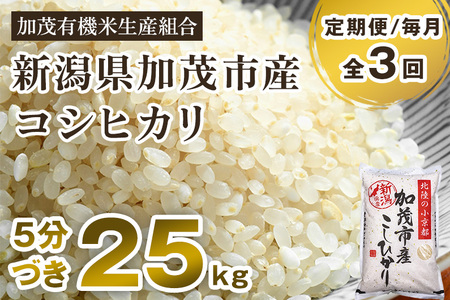 新潟県加茂市産 特別栽培米コシヒカリ 精米 25kg（5kg×5） 従来品種コシヒカリ 加茂有機米生産組合 定期便 定期購入 定期 コシヒカリ 新潟県産コシヒカリ 米 お米