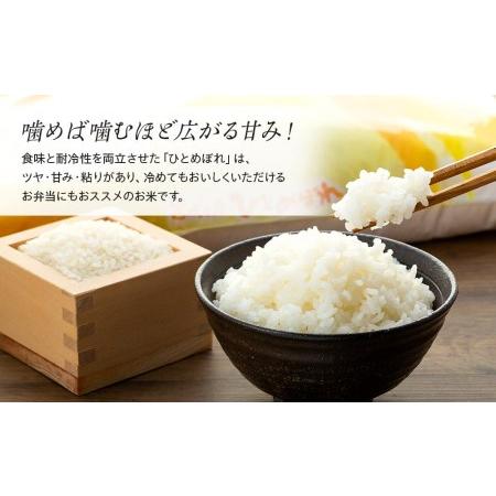 ふるさと納税 令和5年産宮城県登米市産ひとめぼれ精米　５kg×２個セット 宮城県登米市