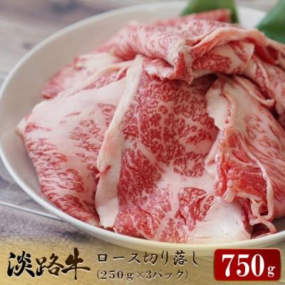 ふるさと納税 淡路市 淡路牛 ロース切り落し 750g(250g×3パック)