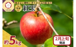  りんご 5kg 紅玉 青森