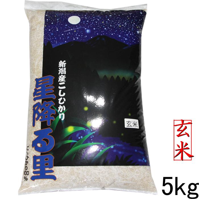 新米 令和5年 新潟産 コシヒカリ 玄米 5kg 玄米5kg 新潟県産 こしひかり５キロ 産地直送 美味しいお米 玄米 農家 妙高