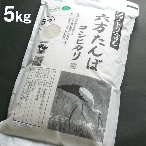 新米 コシヒカリ 白米 5kg コウノトリ育む農法 令和5年産 送料無料 お米 兵庫県産