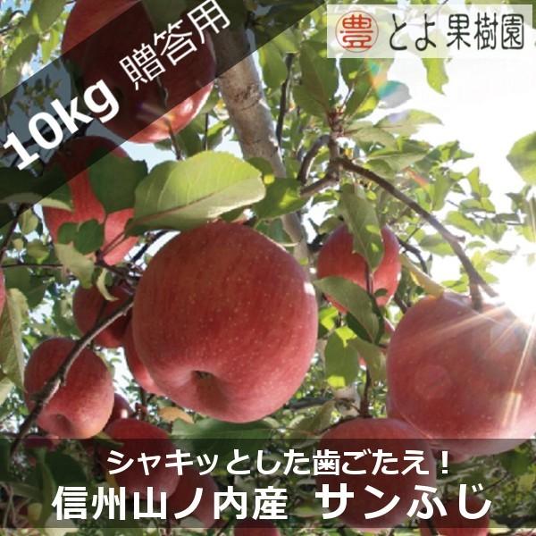 信州山ノ内 産地直送 サンふじ 贈答用 24〜40玉 約10kg入り 箱 限定販売