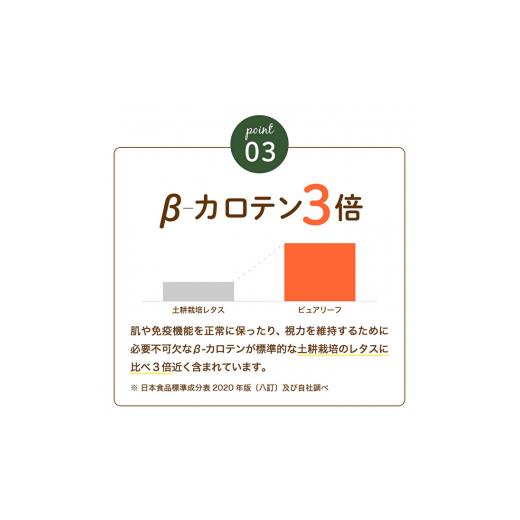 ふるさと納税 兵庫県 加西市 最新植物工場レタス ピュアリーフ 4個入り 栽培期間中農薬不使用 新鮮 長持ち 栄養 健康 衛生的 安全 安心 低雑菌 年内受付