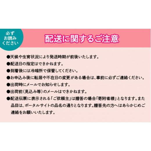 ふるさと納税 山梨県 笛吹市 ＜2024年先行予約＞産地厳選シャインマスカット1.2kg〜1.3kg（2房〜3房）※沖縄・離島配送不可※ 106-003