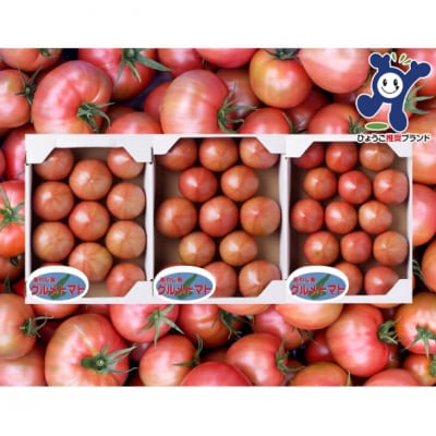 三谷さんの淡路島グルメトマト3kg