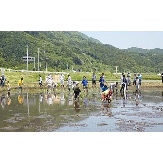 ふるさと納税 岩手県 陸前高田市 令和５年産 たかたのゆめ 白米 10kg