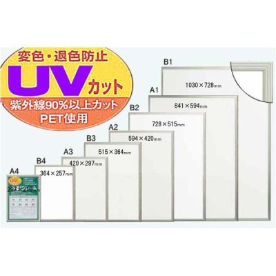 パネルフレーム/ポスター額縁 〔B1/内寸：1030×728mm ブラック