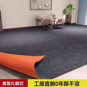 🌈臺灣熱銷🌷大尺寸全覆蓋 商用全鋪大麵積加厚耐磨地毯辦公室隔音降噪地墊臥室耐臟免洗腳墊 CGP8