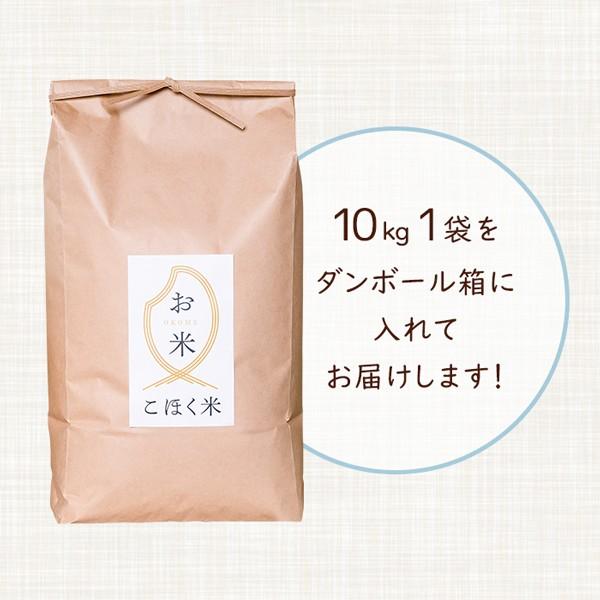 令和５年　滋賀県湖北産　立見さんのミルキークイーン 10kg 