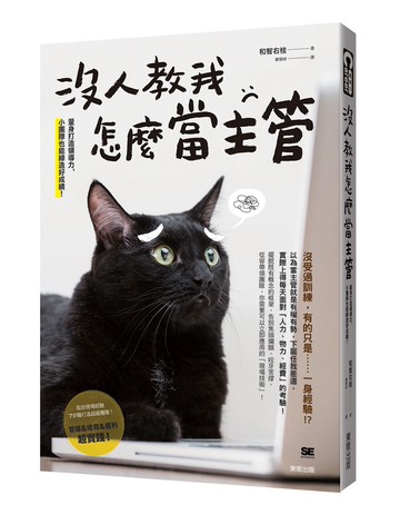 沒人教我怎麼當主管：量身打造領導力，小團隊也能締造好成績!