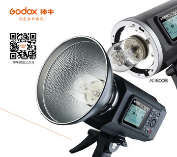 Godox 神牛 AD600BM 高速同步 攜帶式 手動 閃光燈 配合X1 發射器 公司貨 ◎相機專家◎