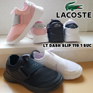 送料無料 キッズ ジュニア 男の子 女の子 スリッポン ローカット ラコステ Lacoste Suc0008 子供靴 ダッシュ スリップ キッズシューズ 通販 Lineポイント最大1 0 Get Lineショッピング