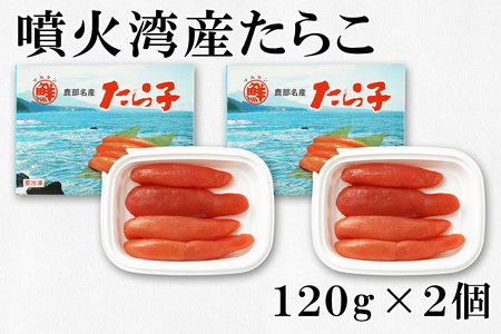 大粒ほたて貝柱250g×1 いくらしょうゆ漬け120g×2 噴火湾産たらこ120g×2 丸鮮道場水産 小分け 食べ切り 食べきり 北海道