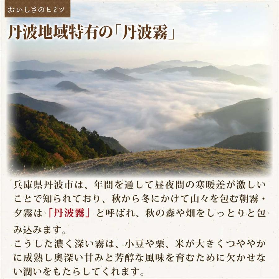 米 お米 米5kg 白米 送料無料 コシヒカリ 兵庫県産 安い 5kg おこめ 米5キロ お米5キロ 5キロ お米5kg 精米 単一原料米 令和5年産 新米 美味しい 格安