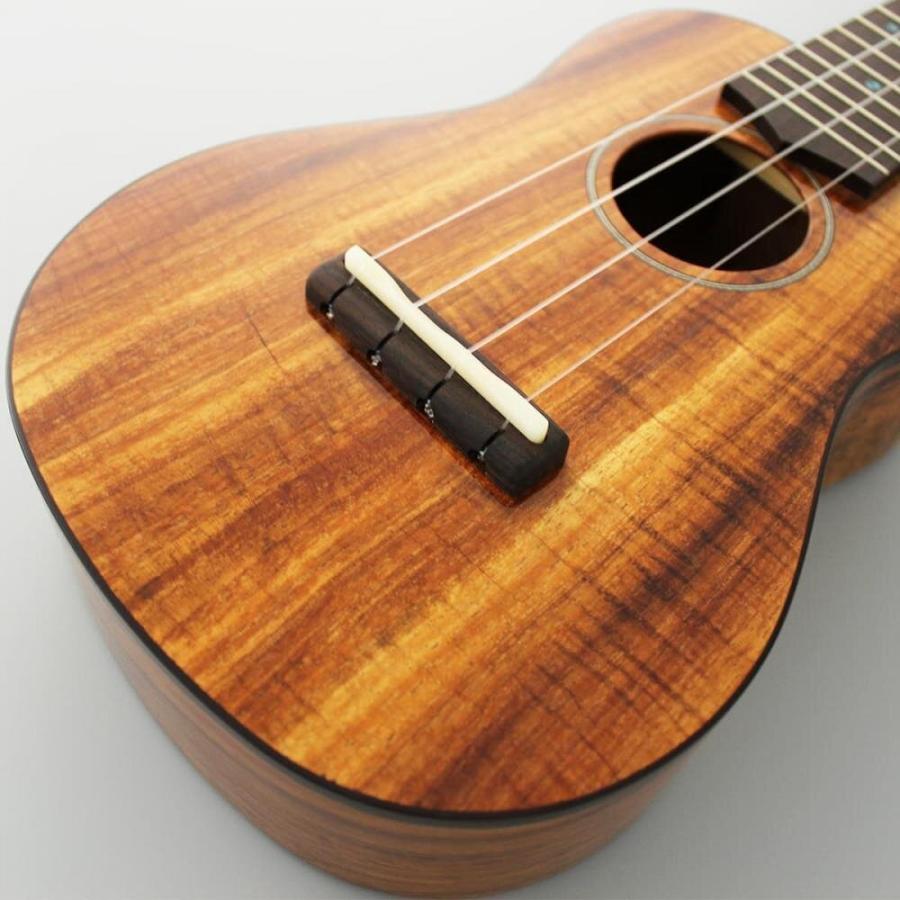 ウクレレ フジゲン Ukulele Standardシリーズ FUS-TS-02