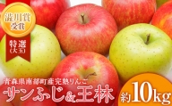 特選 (大玉) 青森産 完熟 りんご 約10kg サンふじ 王林 2種セット  青森りんご リンゴ 林檎 青森県 南部町 澁川賞 受賞 果物 くだもの フルーツ F21U-221