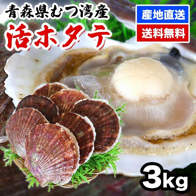 ほたて 3kg 活ほたて 青森 3kg  ほたて 貝柱 活ホタテ