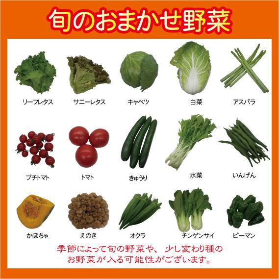 糸島新鮮産直野菜おまかせセット８品〜１０品