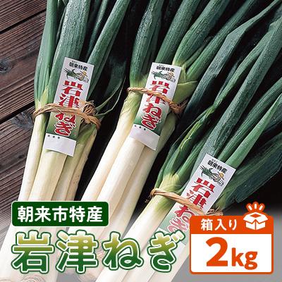 ふるさと納税 朝来市 朝来市特産「岩津ねぎ」2kg(箱入り)